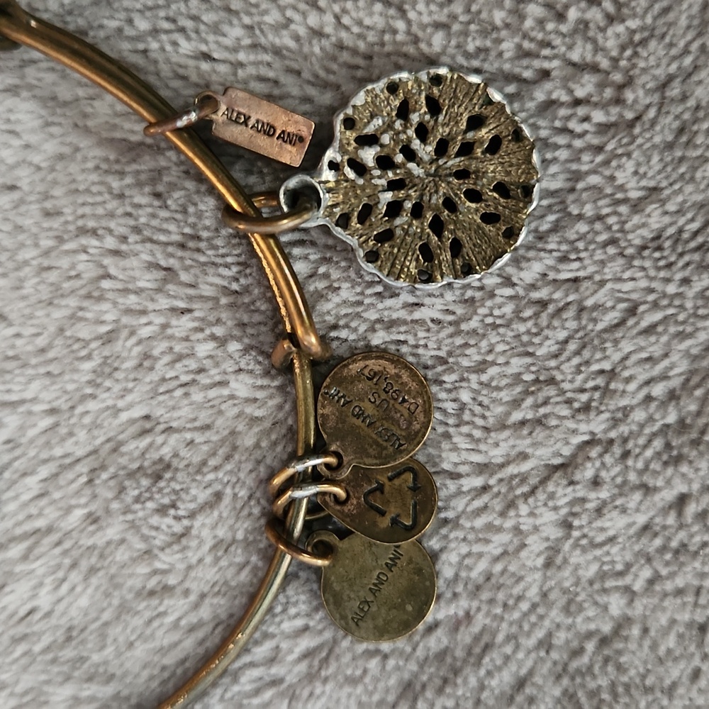 Alex & Ani Charm Bangles - Picture 5 of 5